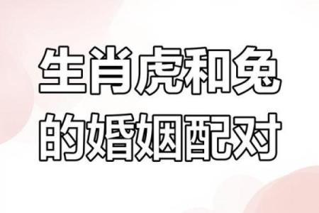 虎女属相配对，哪些生肖最佳？
