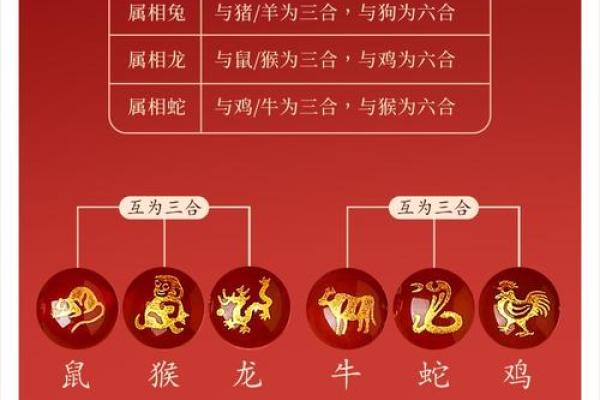 蛇和什么属相配对幸福