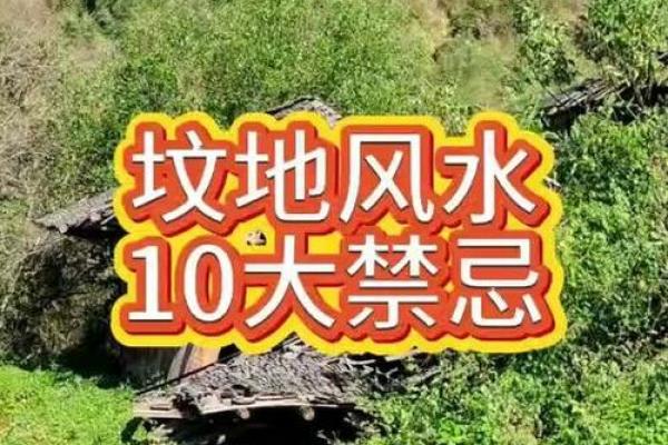 坟地风水好的几大准则大揭秘