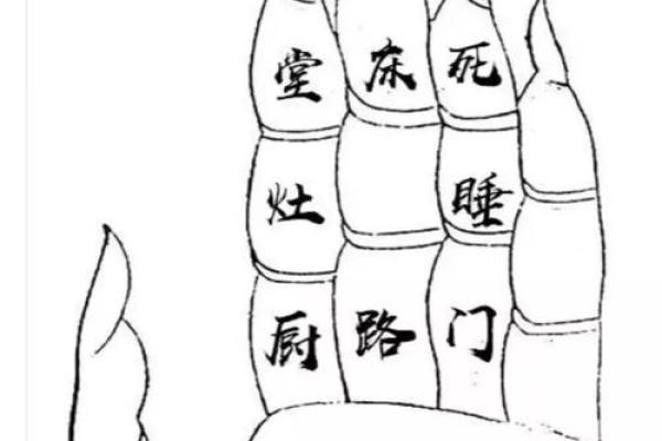 新寮八仙算命准吗