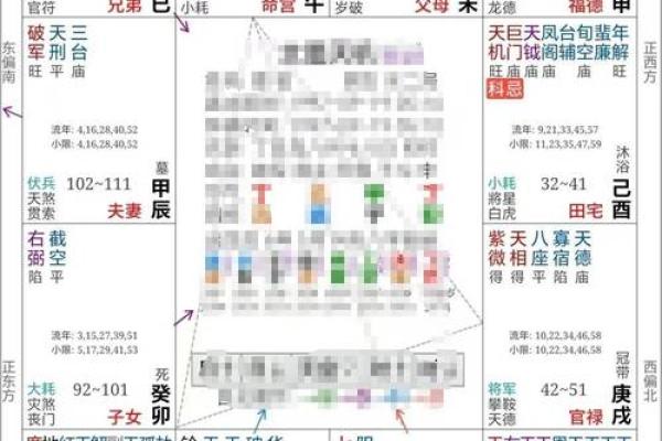 紫薇斗数 得怎么解释