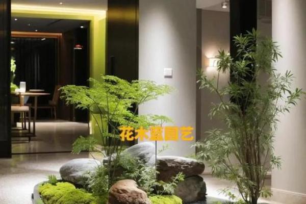 办公室风水植物_老板的办公室要放什么植物