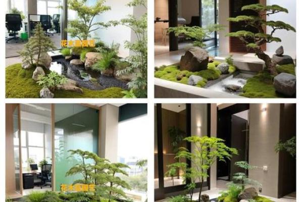 办公室风水植物_老板的办公室要放什么植物