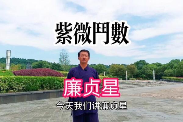 紫微斗数星曜漫谈——廉贞星