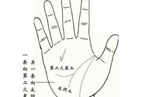 图解-智慧线上有十字纹算命