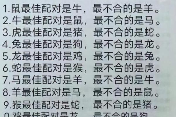 揭秘肖鼠女的属相配对