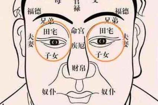 面相风水泪堂痣的寓意是什么命运