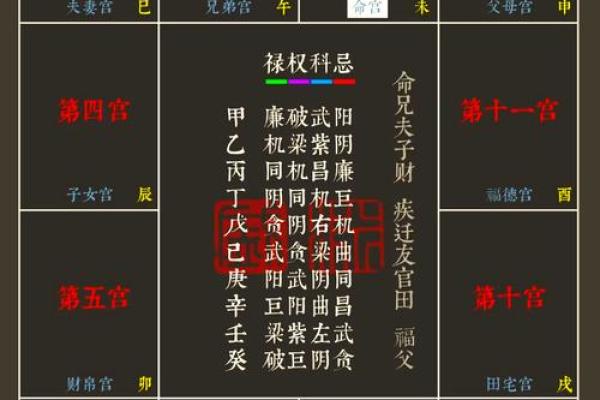 如何自学紫薇斗数