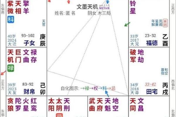 紫薇斗数明星盘