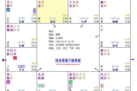 紫薇斗数看人生txt的简单介绍