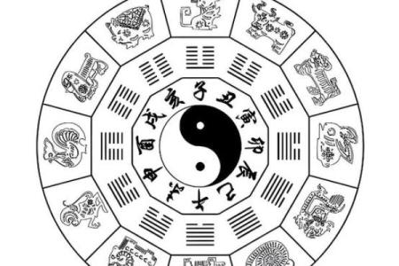 紫薇斗数偶身