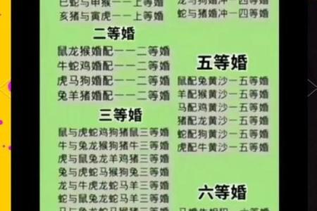 生肖鼠与十二生肖配对情况
