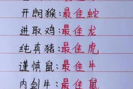十二生肖配对指数大揭秘