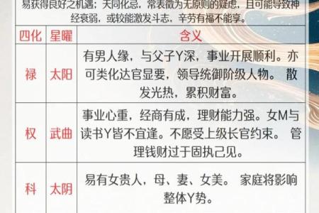 紫微斗数之生年干四化表象：子女宫四化入各宫表象