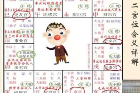 如何自学紫薇斗数