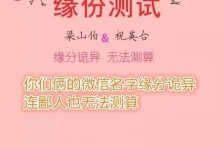 姓名测试配对