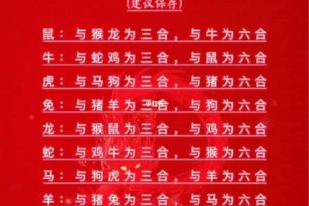 1997年属什么生肖配对
