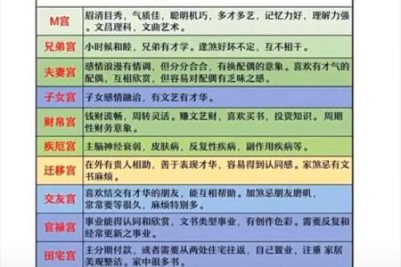 紫微斗数星宿详解天机星 紫薇星天机星？