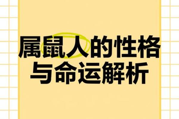 属鼠的血型和性格命运