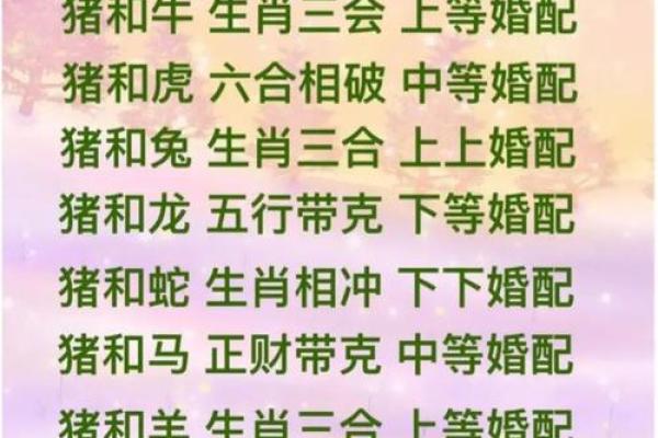属鸡双子座与属猪处女座配对如何