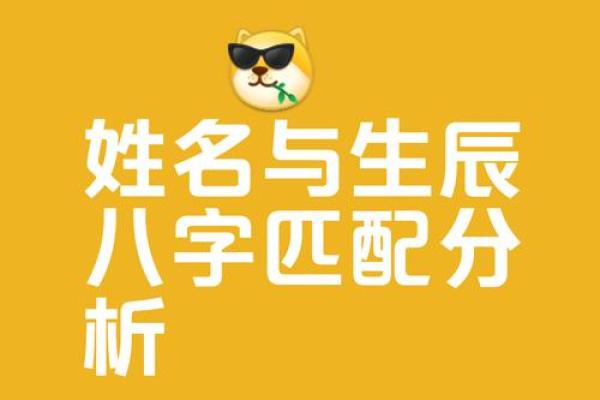八字名字测试打分的简单介绍