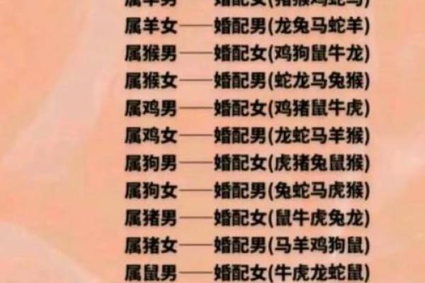 属猪的找什么属相最好 不同月份出生属猪的婚配最佳配对