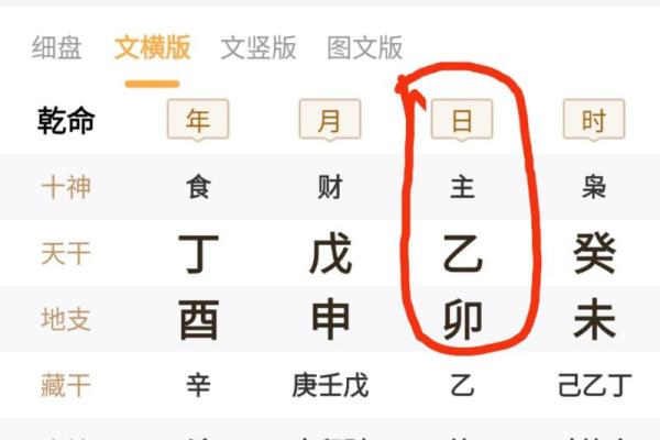 癸日的八字