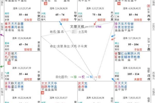 紫薇斗数子女宫空