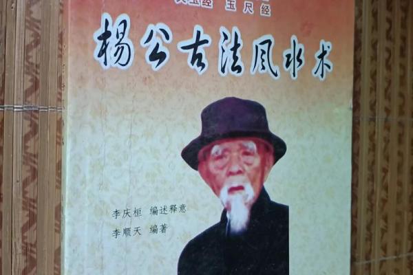 正宗杨公风水_杨救贫和赖布衣谁厉害