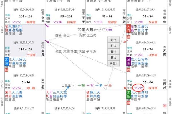 东派紫微斗数 东派紫微斗数王星东简介？