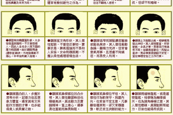 六害眉面相算命图解