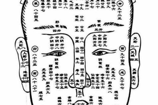 算命看面