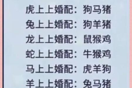 十二生肖婚配大全表 12生肖婚姻最佳配对表图片