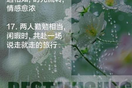 1979属羊最佳配对