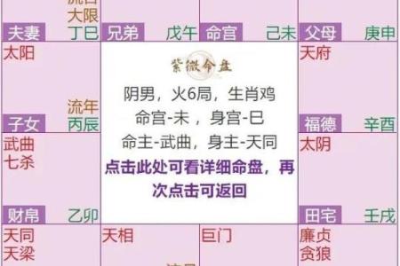 紫薇斗数免费排盘华易