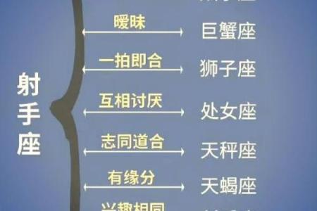 处女座和射手座友情配对怎么样