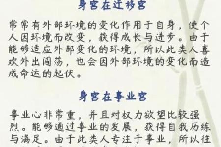 紫薇斗数木葡之人
