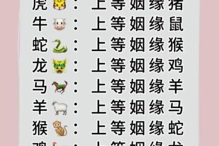 什么生肖最相配？十二生肖婚姻配对大全