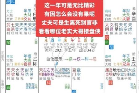 算命紫薇斗数免费算命