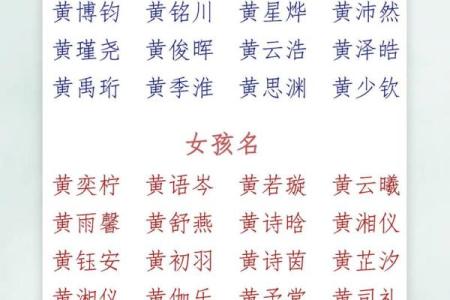 2019年6月5号子时出生的男孩如何起名姓名