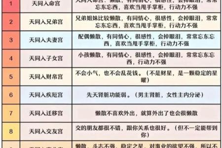 紫薇斗数主星组合