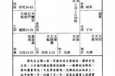 紫微斗数术语解释之：格局