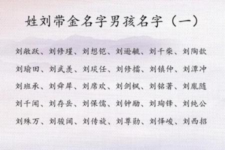 2019年出生的姓刘男孩如何起名，宜用什么字姓名