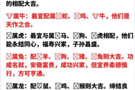 生肖名字配对姻缘 生肖取名字大全？