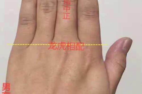断掌手相算命说法及含义