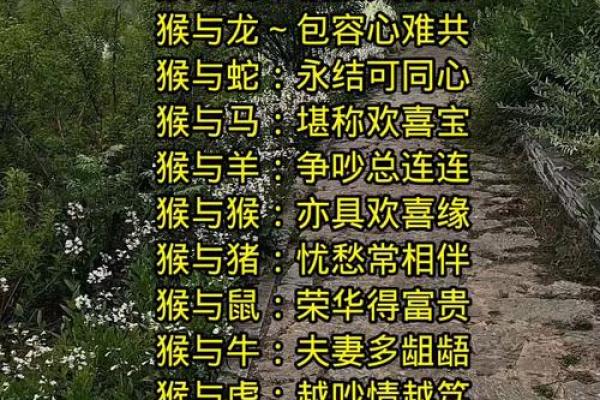 女猴男鸡生肖配对姻缘