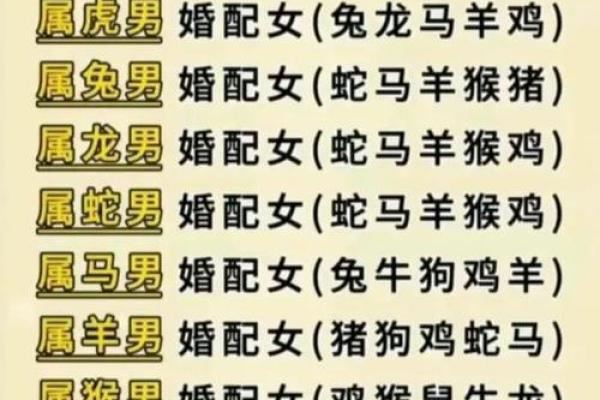 属猪的婚姻配对最佳 属猪的婚配宜忌