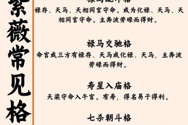 紫薇斗数三大格局