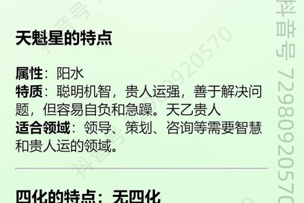 紫微斗数天马星之十二宫释义
