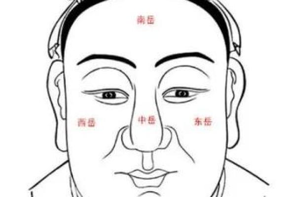 颧骨面相算命